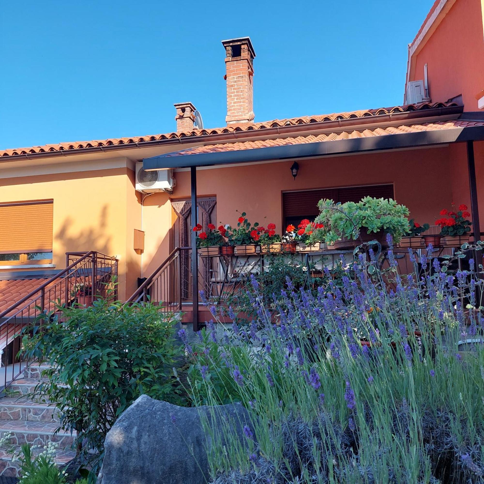Apartman Branka Labin  Dış mekan fotoğraf
